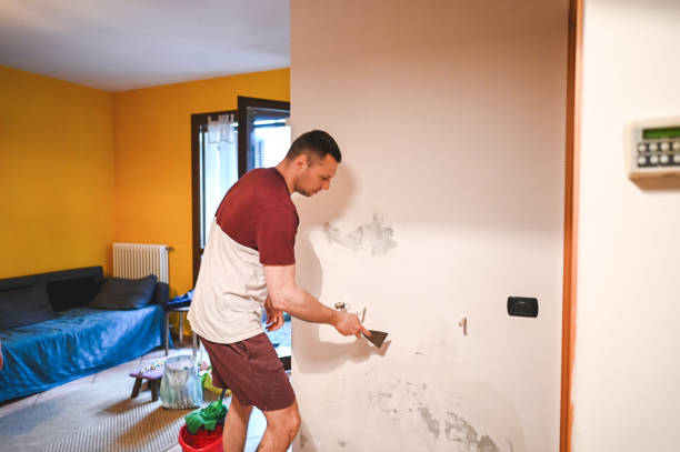 Best Basement Mold Remediation in Treasure Island, FL